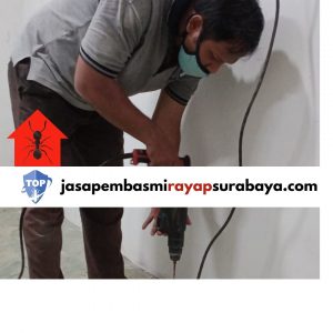 Anti Rayap Surabaya, Jasa Pembasmi Rayap Profesional Terdekat di Jawa Timur, Pusat Pembasmi Rayap Terbaik dan Termurah Jawa Timur Indonesia